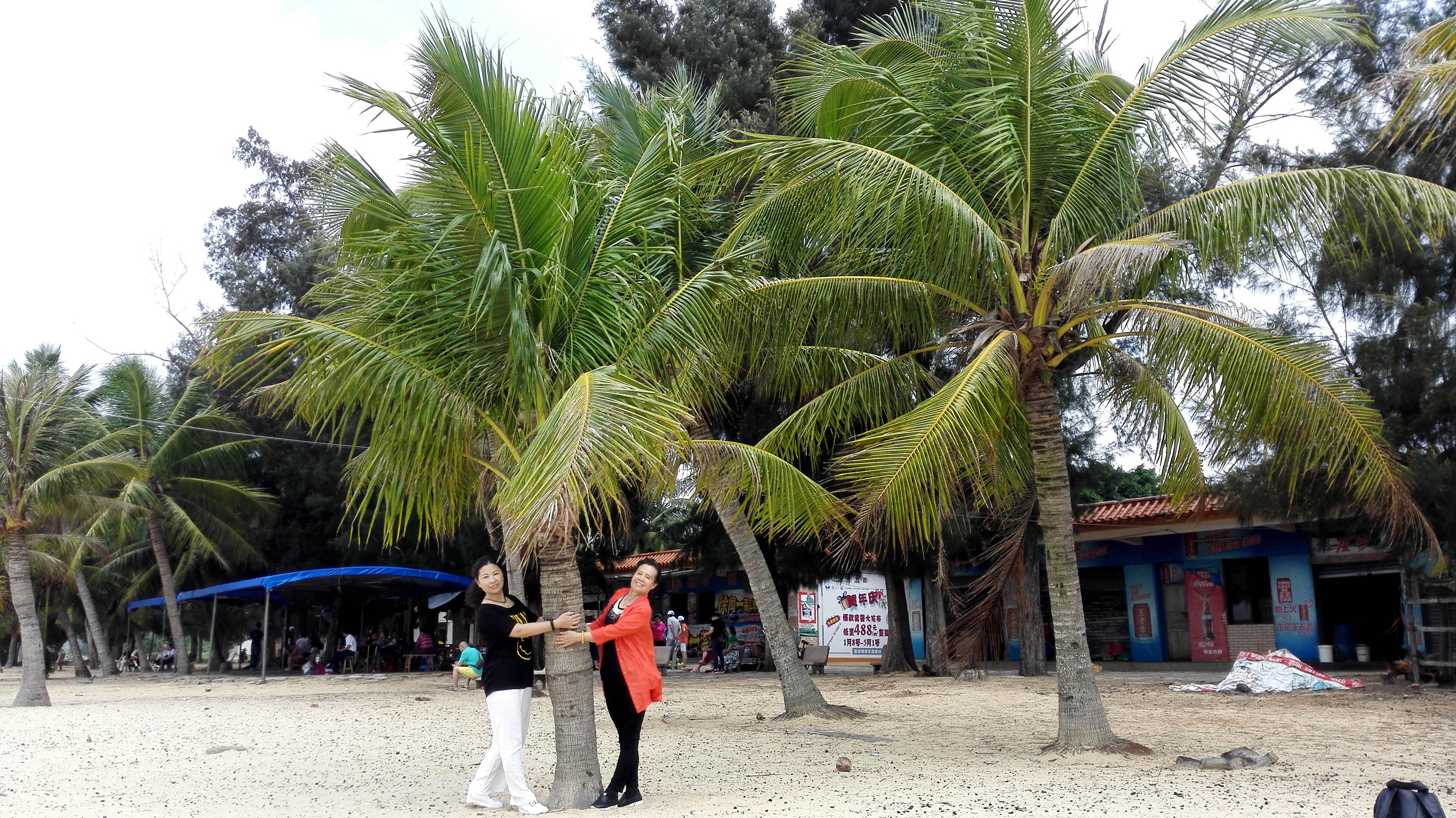 重庆十大婚宴酒店2026年本年度热度口碑双榜对比