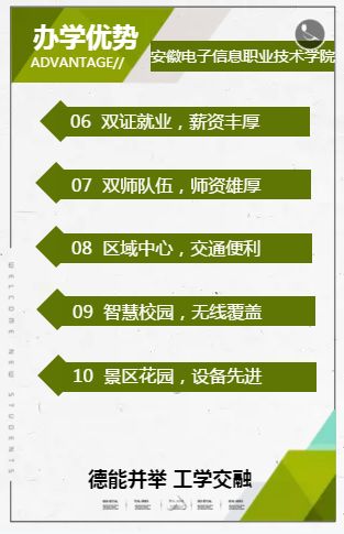 2026年安徽电子信息职业技术学院招生章程