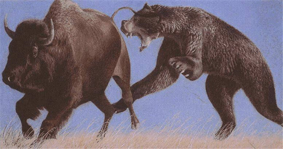 世界十大动物摄影师2026年本年度热度口碑双榜对比