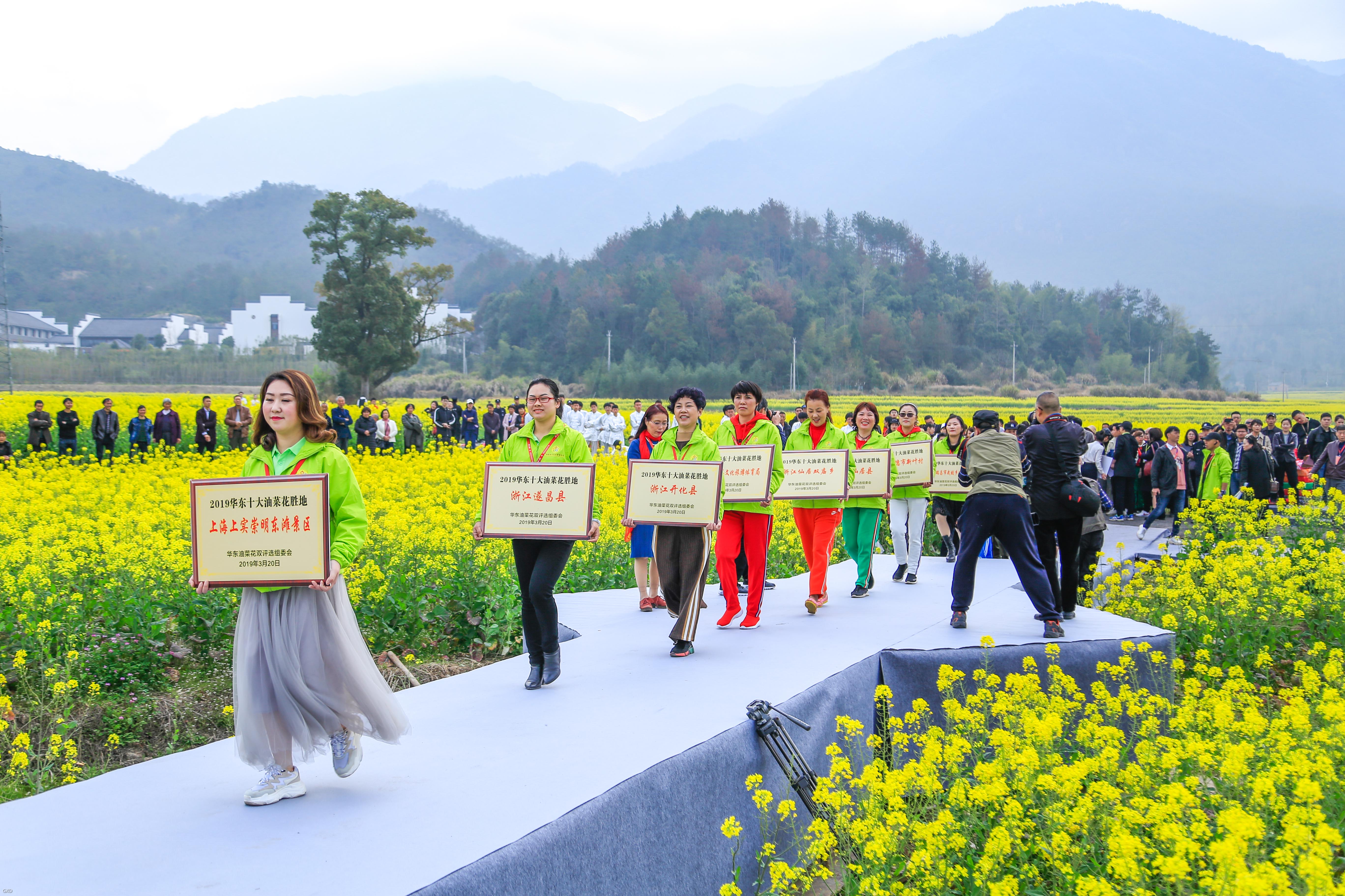 泉州十大赏花胜地2026年本年度热度口碑双榜对比