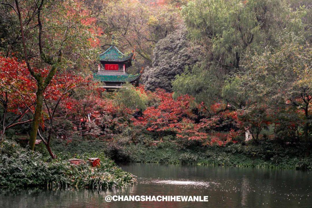 长沙十大赏红叶好地方2026年本年度热度口碑双榜对比