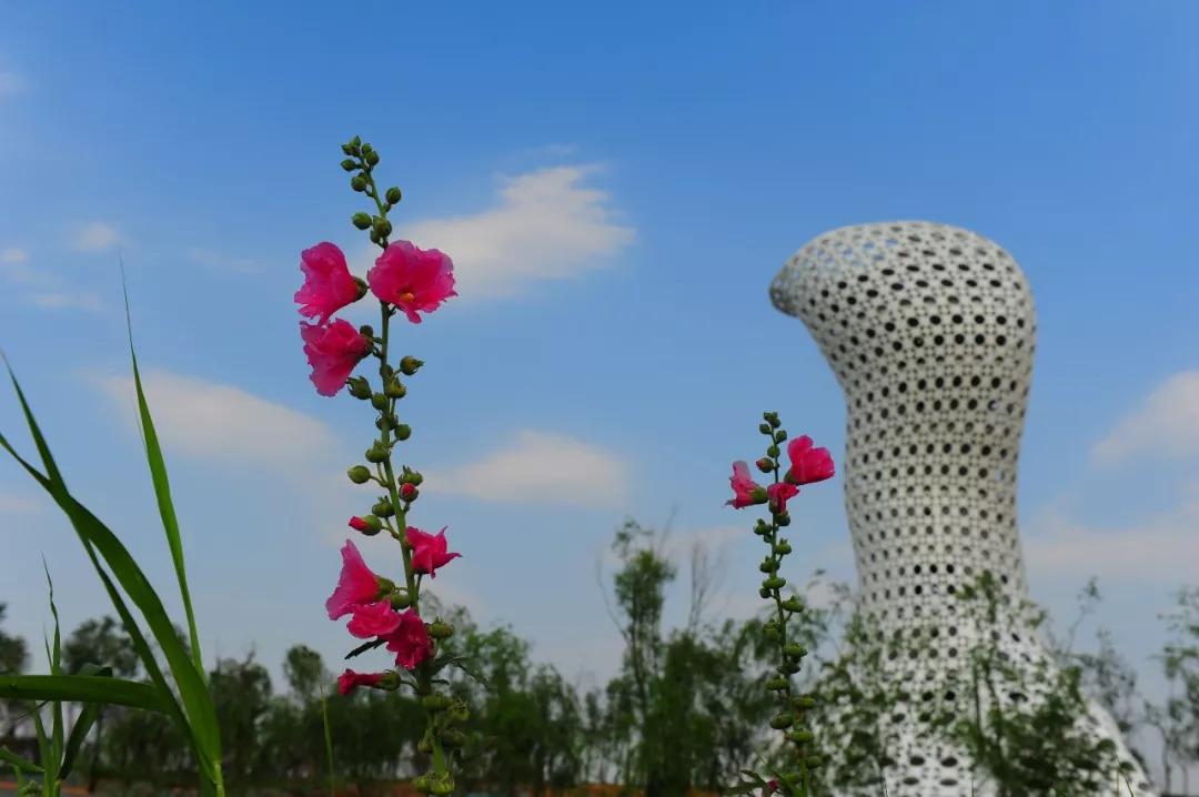 西安十大徒步景点2026年本年度热度口碑双榜对比 西安十大徒步景点2026年本年度热度口碑双榜对比