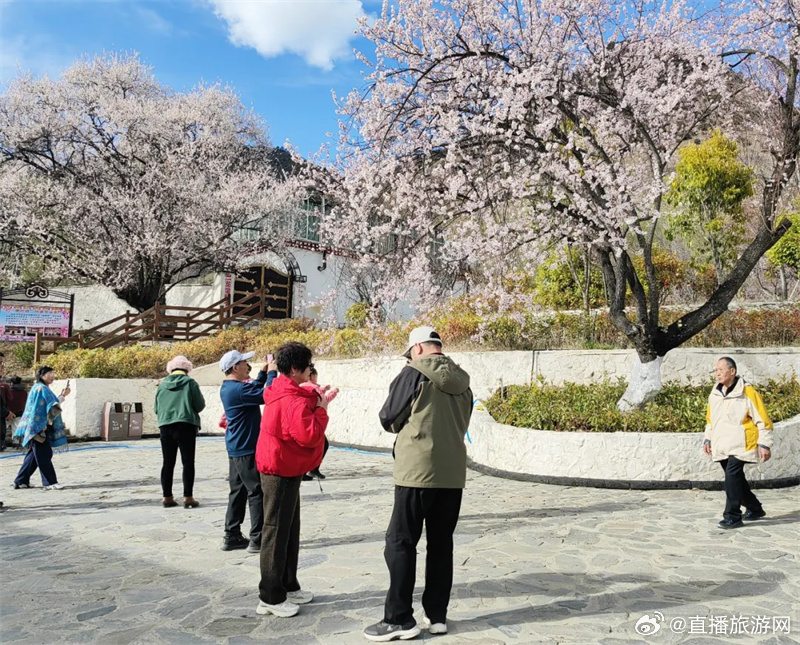 林芝十大广受青睐玩的景点2026年本年度热度口碑双榜对比 林芝十大广受青睐玩的景点2026年本年度热度口碑双榜对比