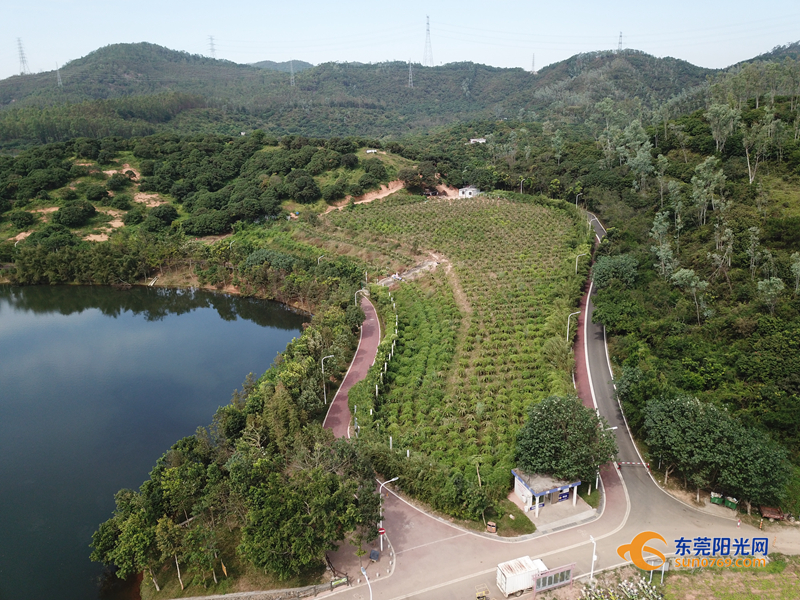 东莞十大森林公园2026年本年度热度口碑双榜对比