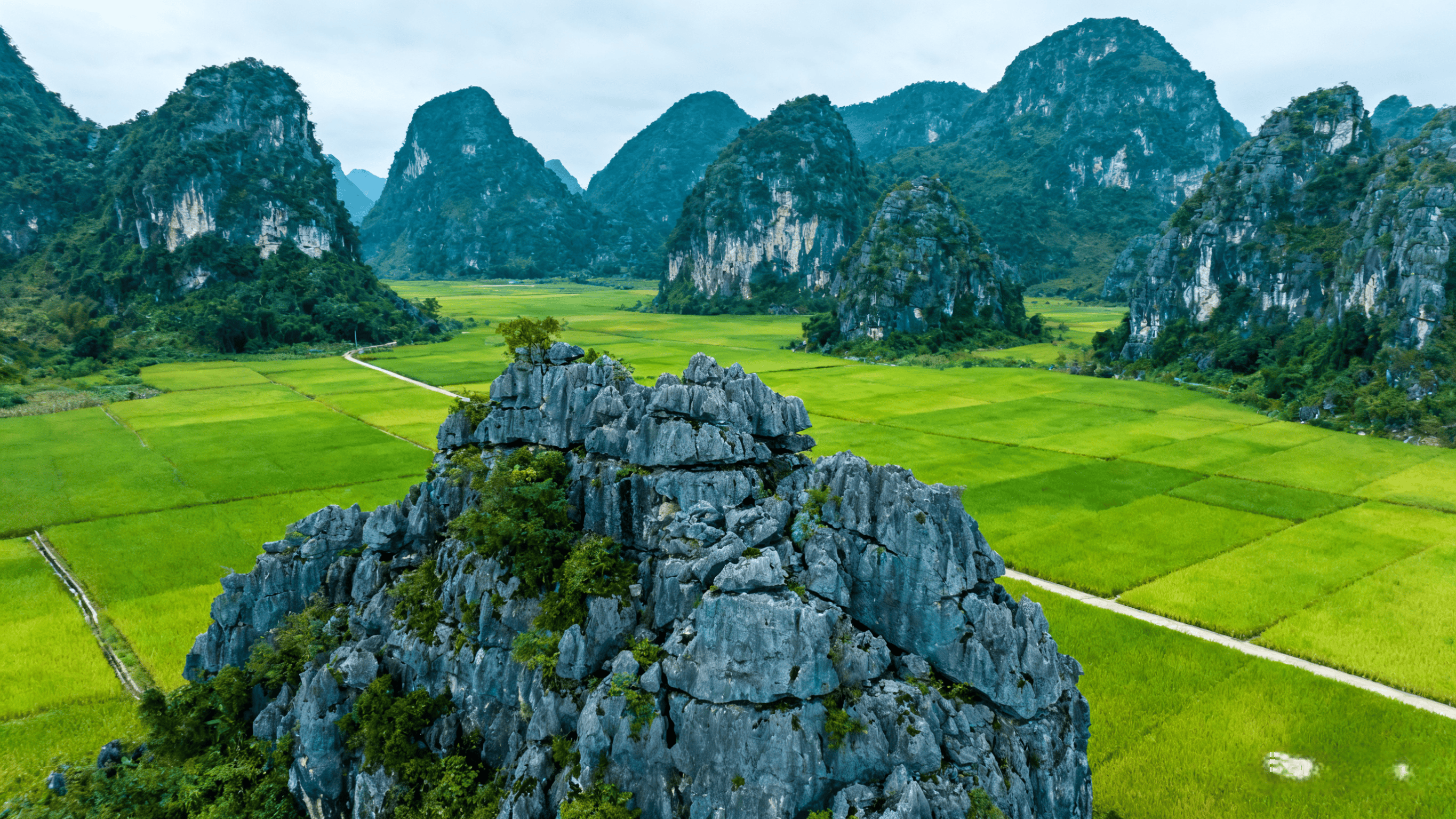 广西十大广受青睐玩的景点2026年本年度热度口碑双榜对比