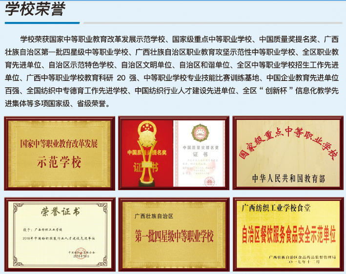 2026年南宁学院招生章程