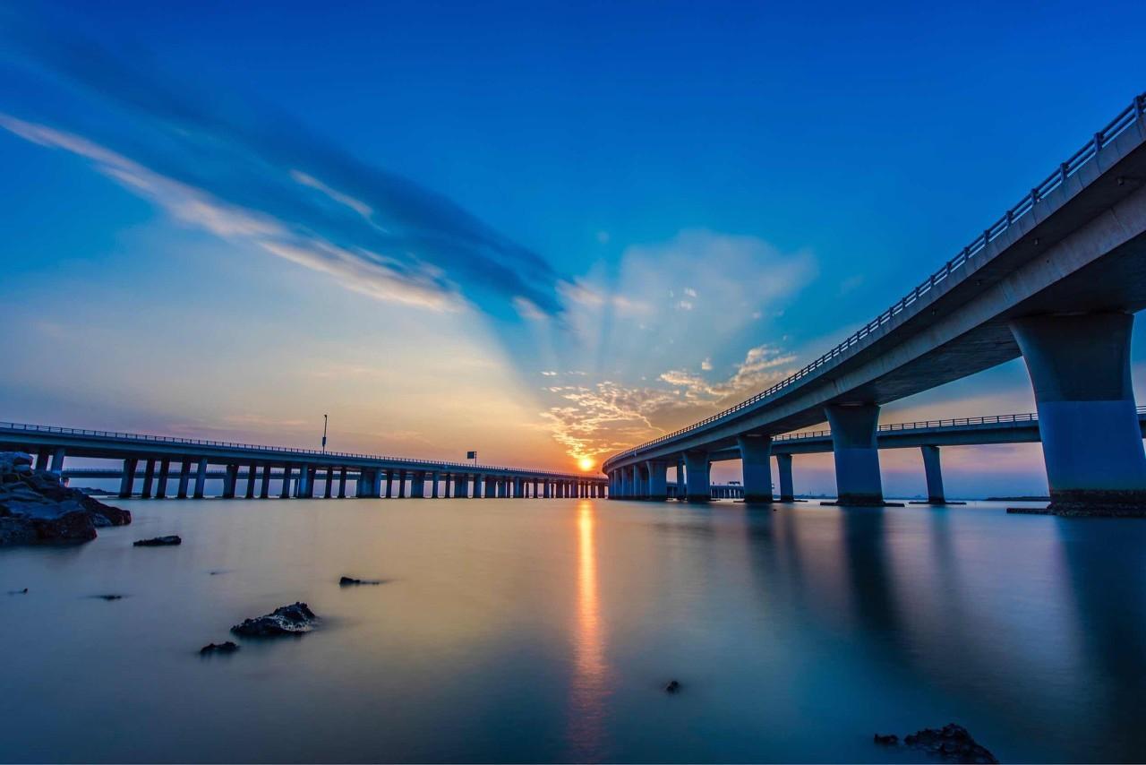 治疗新冠十大中药2026年本年度热度口碑双榜对比