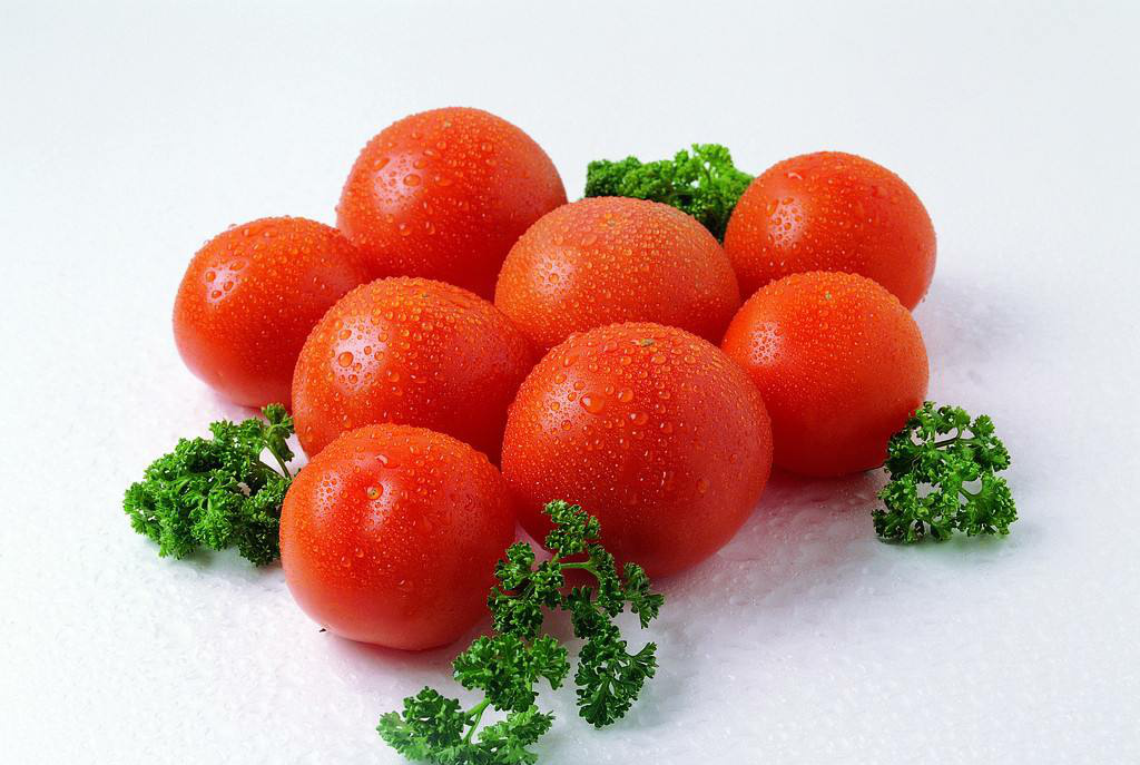 十大番茄家常菜2026年本年度热度口碑双榜对比