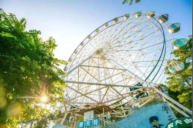 广东十大适合亲子旅游的地方2026年本年度热度口碑双榜对比