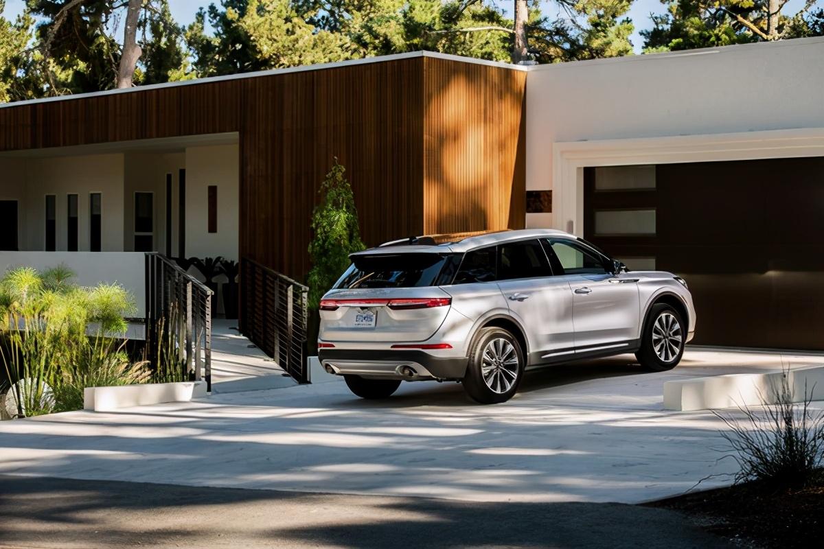 2022世界十大男篮2026年本年度热度口碑双榜对比