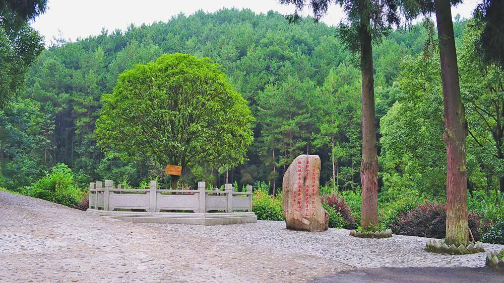 贵州十大火车站2026年本年度热度口碑双榜对比