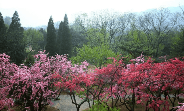 北京十大赏花胜地2026年本年度热度口碑双榜对比