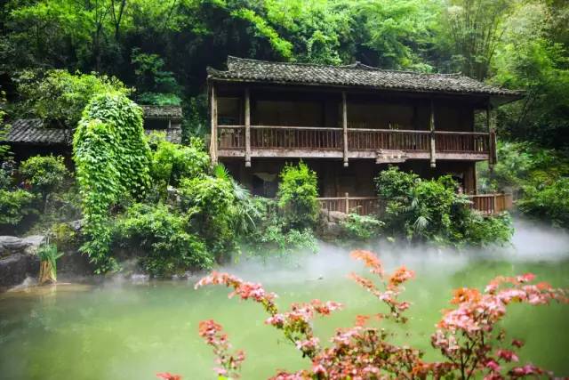 酉阳桃花源十大特产2026年本年度热度口碑双榜对比