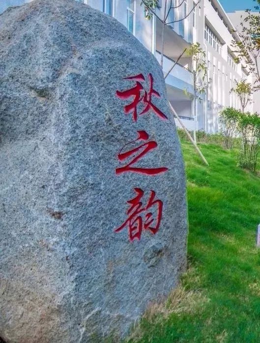 2026年攀枝花学院招生章程