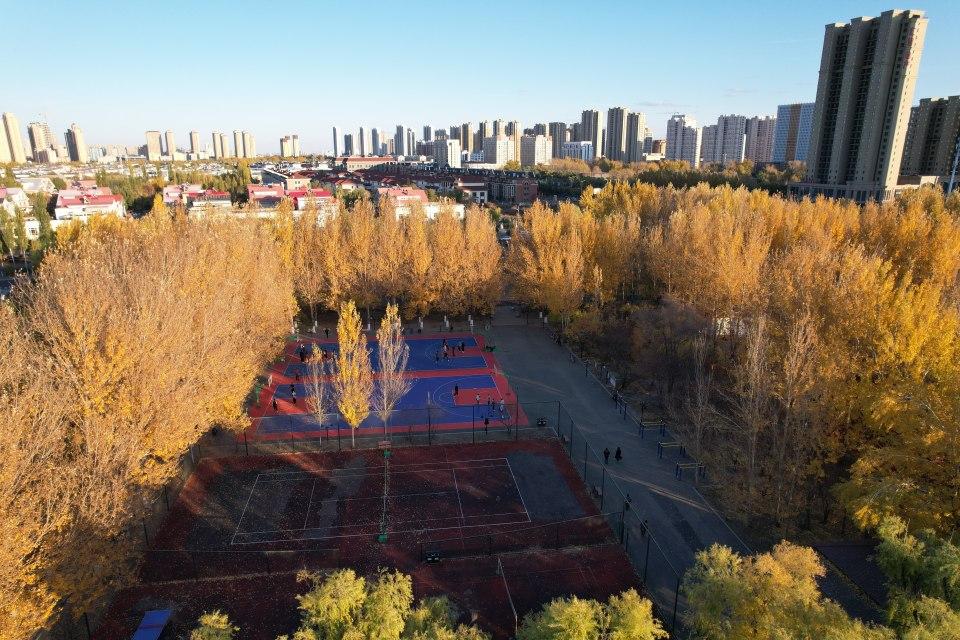 哈尔滨十大广受青睐玩的景点2026年本年度热度口碑双榜对比