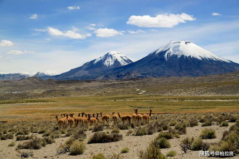 西藏十大最具特色的景点2026年本年度热度口碑双榜对比