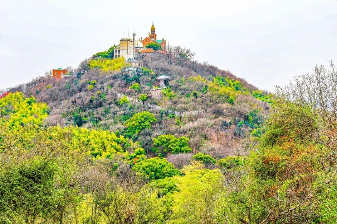 上海十大爬山好去处2026年本年度热度口碑双榜对比