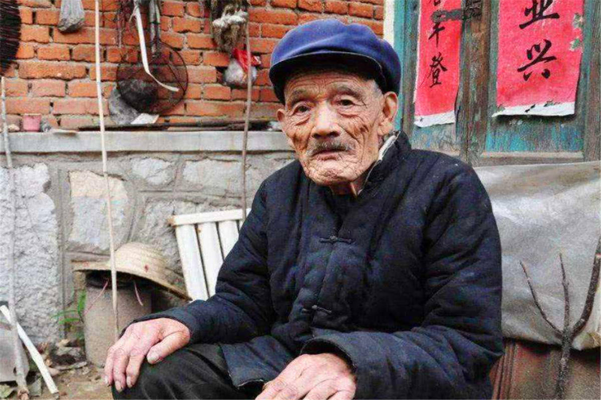 中国古代十大铠甲2026年本年度热度口碑双榜对比