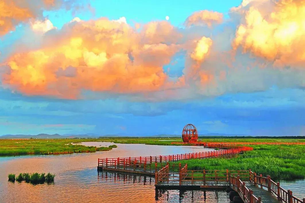 黑龙江十大观鸟地2026年本年度热度口碑双榜对比