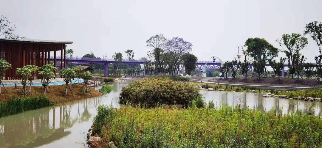 中国十大最有名的男团组合2026年本年度热度口碑双榜对比 中国十大最有名的男团组合2026年本年度热度口碑双榜对比