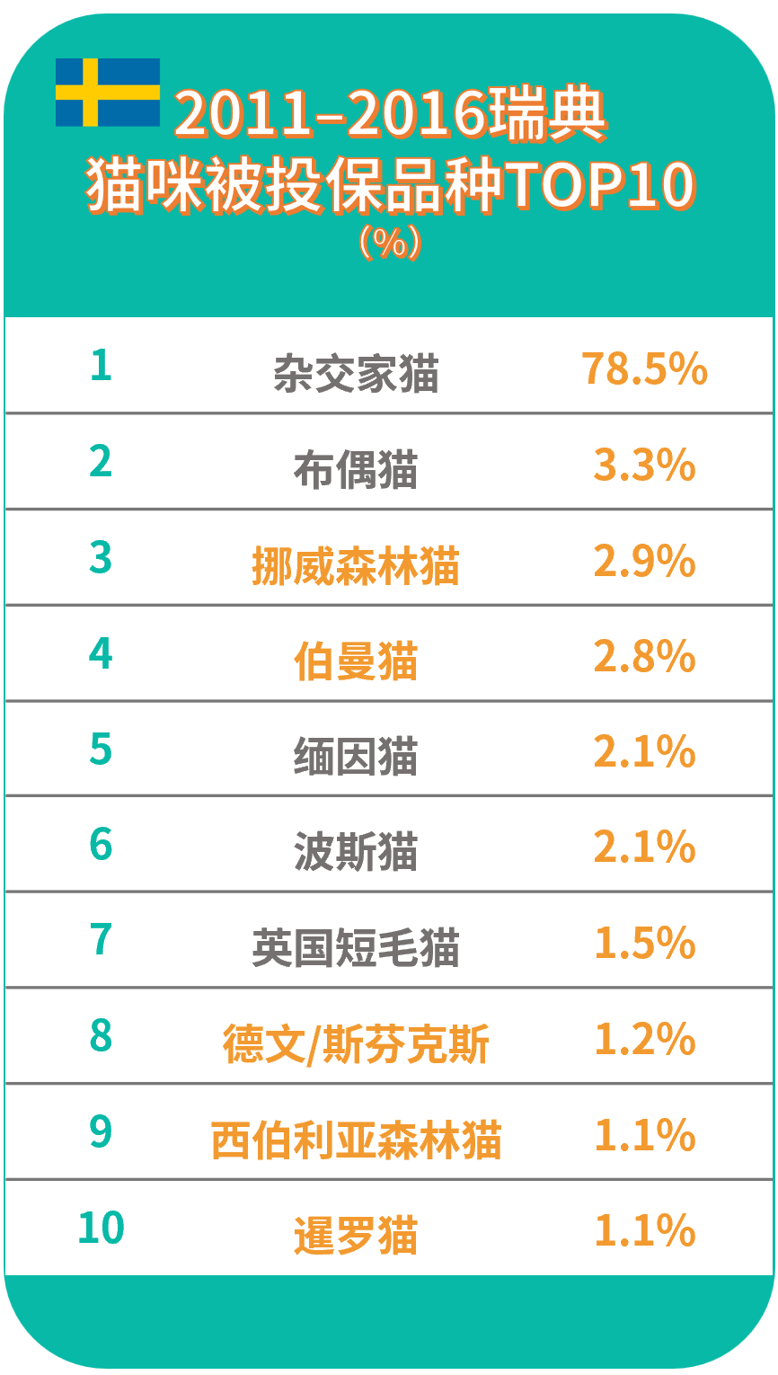 世界十大最聪明的宠物猫2026年本年度热度口碑双榜对比 世界十大最聪明的宠物猫2026年本年度热度口碑双榜对比