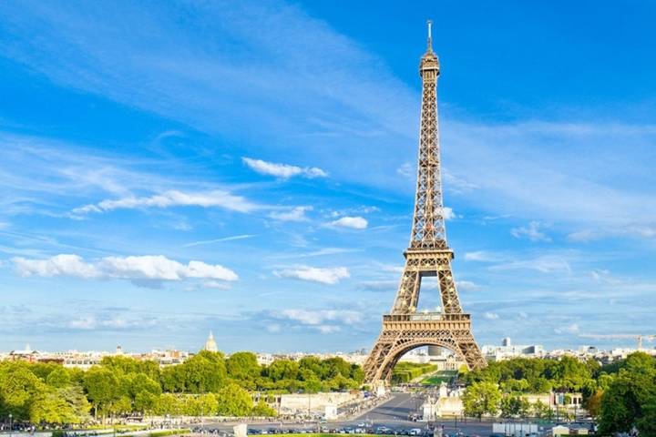 杨桃十大品种2026年本年度热度口碑双榜对比