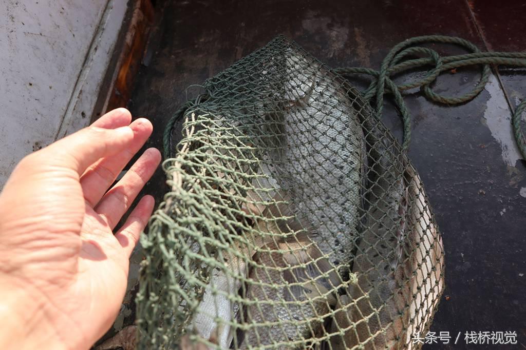 青岛十大钓鱼好地方2026年本年度热度口碑双榜对比