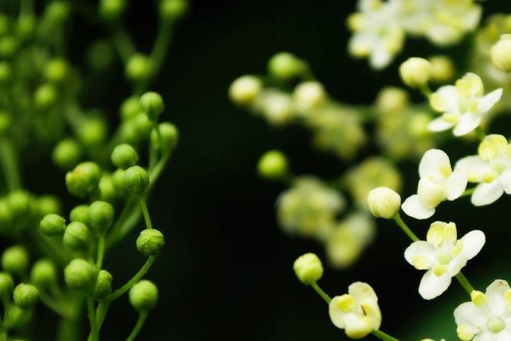 十大红色经典诗歌2026年本年度热度口碑双榜对比