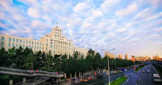 德令哈十大小吃2026年本年度热度口碑双榜对比