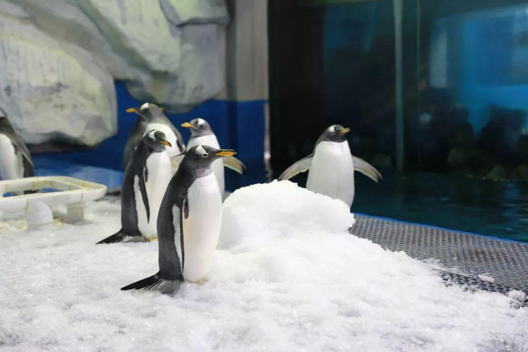 福州适合亲子游的地方2026年本年度热度口碑双榜对比