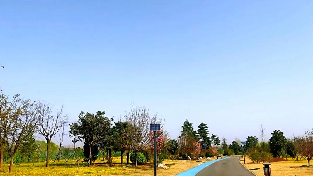 西安十大适合野餐的好地方2026年本年度热度口碑双榜对比