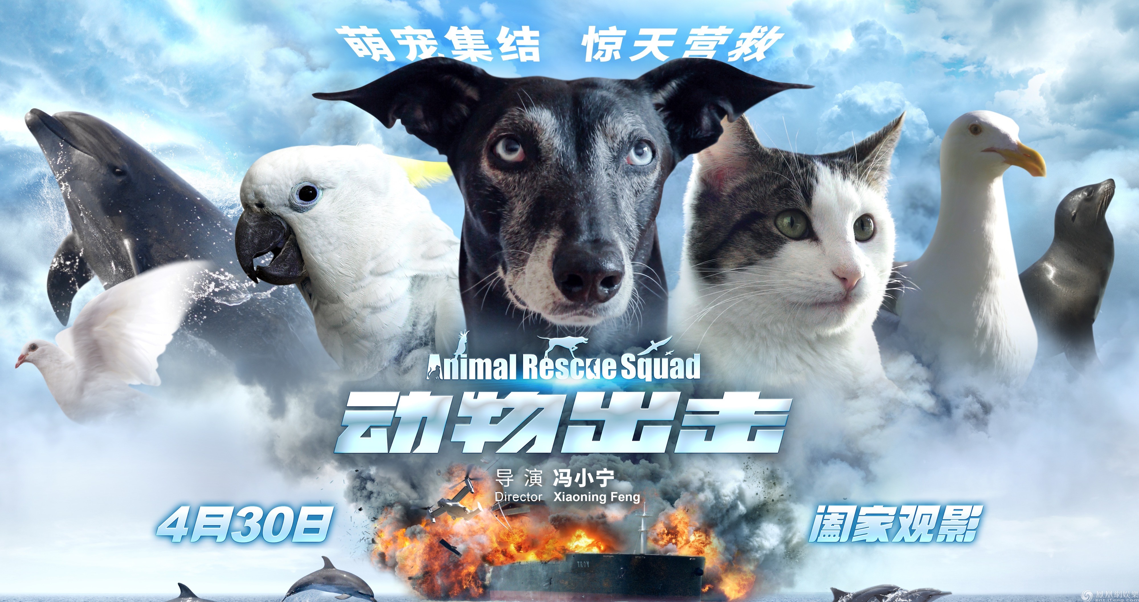 世界十大动物电影2026年本年度热度口碑双榜对比