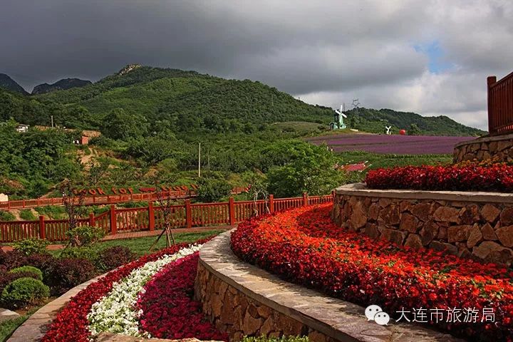 大连十大适合清明节旅游的地方2026年本年度热度口碑双榜对比