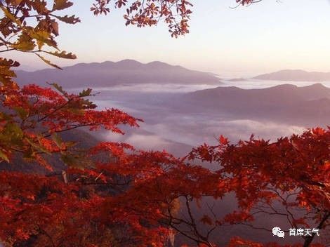 黑龙江十大赏红叶好去处2026年本年度热度口碑双榜对比