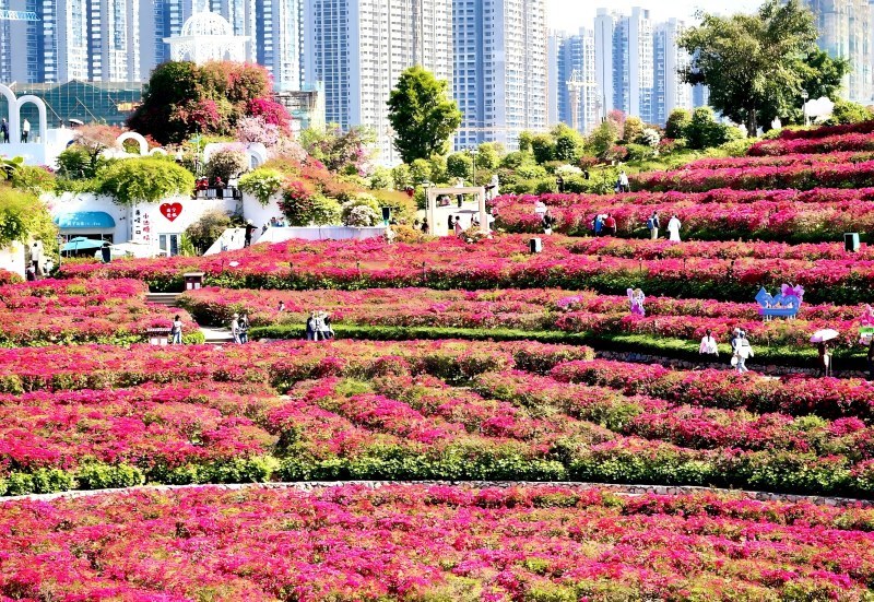 南宁十大适合春季旅游的地方2026年本年度热度口碑双榜对比