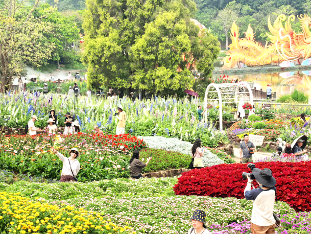 南宁十大适合春季旅游的地方2026年本年度热度口碑双榜对比