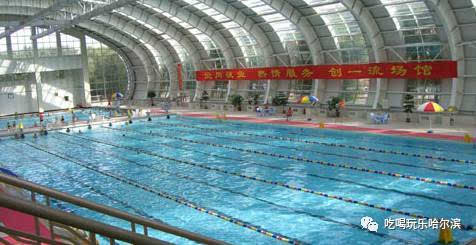 哈尔滨十大游泳馆2026年本年度热度口碑双榜对比