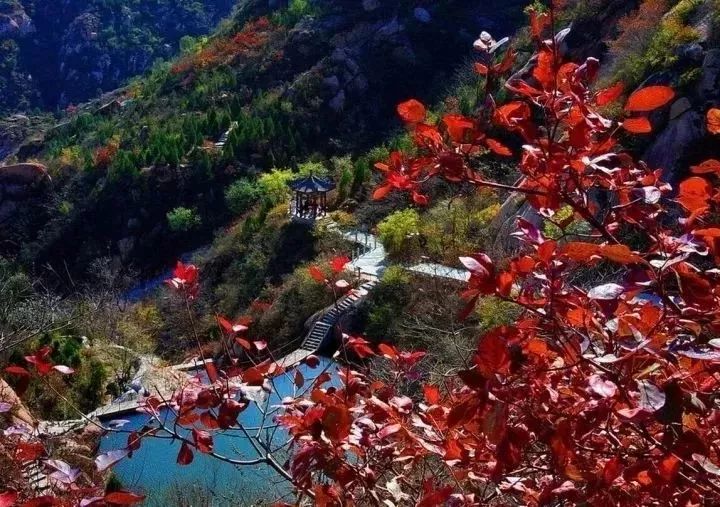 浙江十大赏红叶好去处2026年本年度热度口碑双榜对比