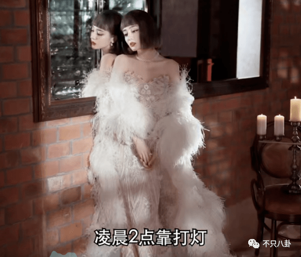 世界十大最贵的马品种2026年本年度热度口碑双榜对比