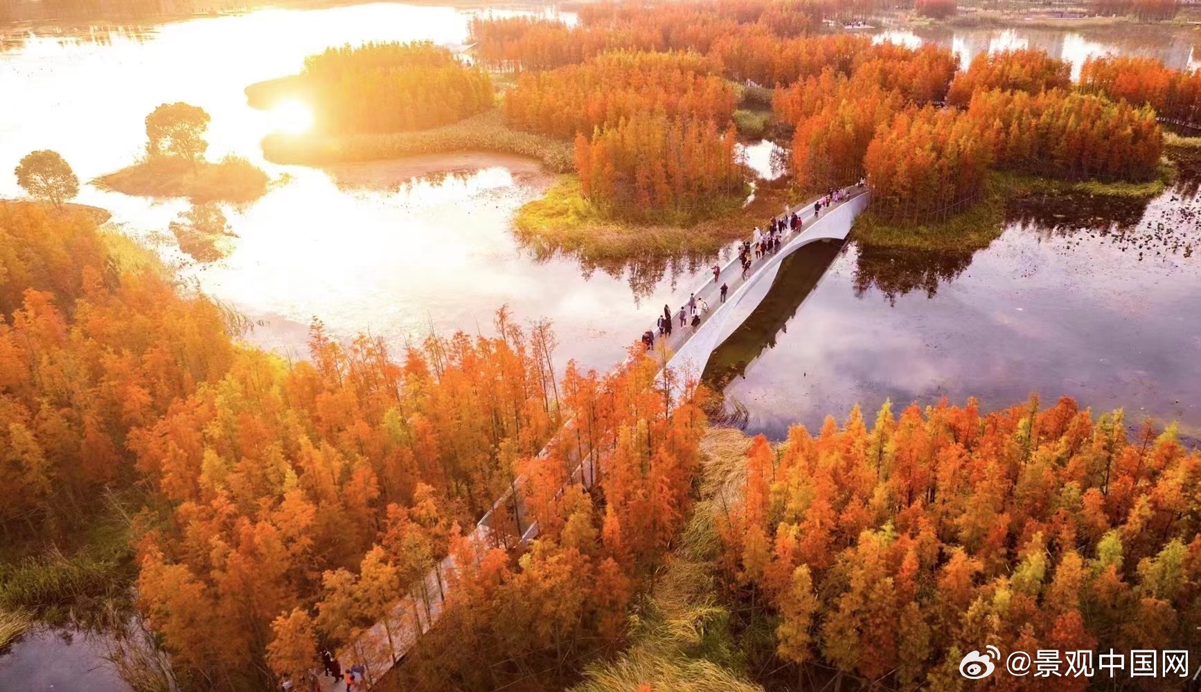 十大最具潜力的湿地公园2026年本年度热度口碑双榜对比