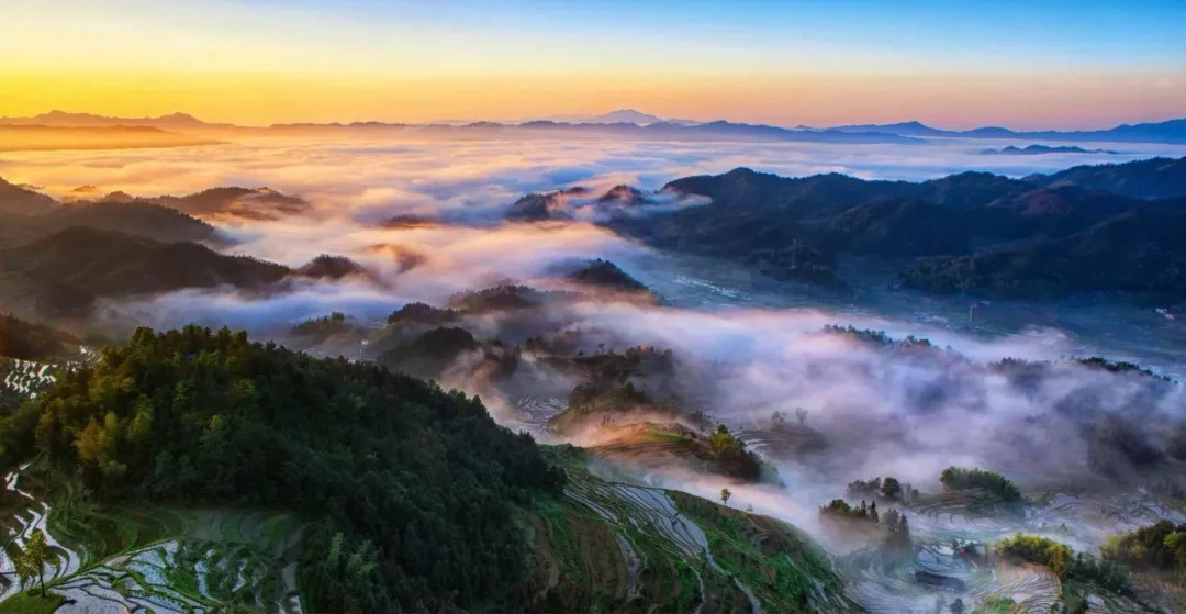 黄山市十大秋季旅游好去处2026年本年度热度口碑双榜对比