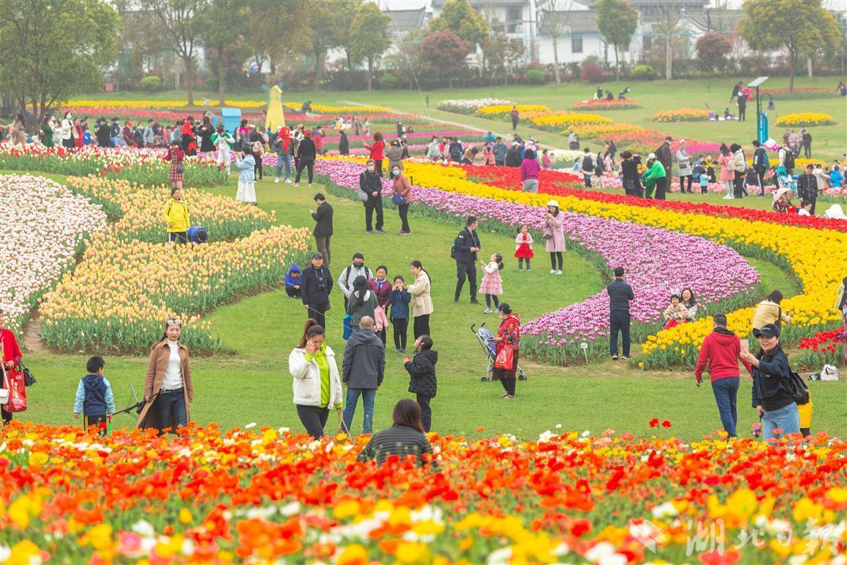 湖北十大爬山好去处2026年本年度热度口碑双榜对比