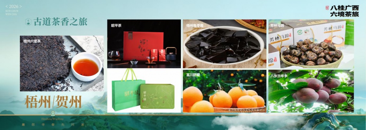 广西十大名茶2026年本年度热度口碑双榜对比