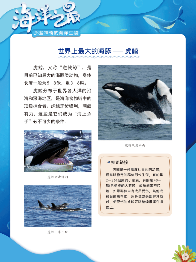 海洋十大珍稀动物2026年本年度热度口碑双榜对比