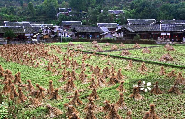 贵阳十大著名景点2026年本年度热度口碑双榜对比