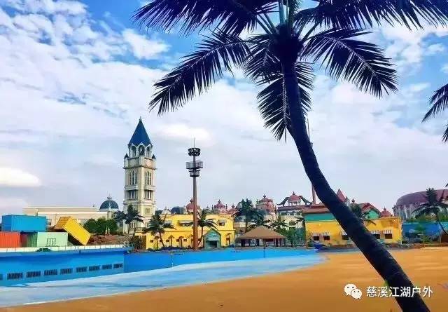 全球最适合冬季度假的十大海岛2026年本年度热度口碑双榜对比