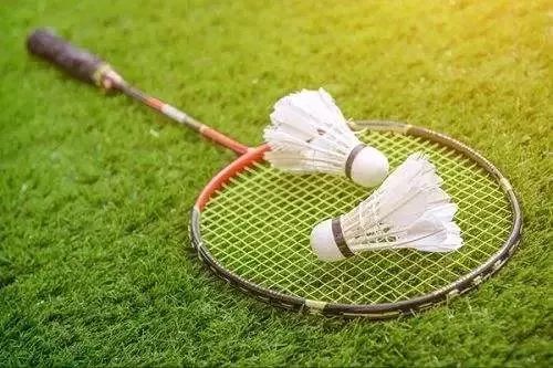 中国最帅羽毛球男运动员2026年本年度热度口碑双榜对比