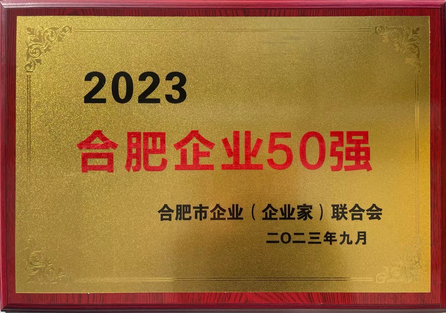 合肥十大知名企业家2026年本年度热度口碑双榜对比