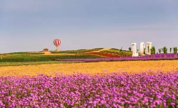 新疆十大赏花胜地2026年本年度热度口碑双榜对比