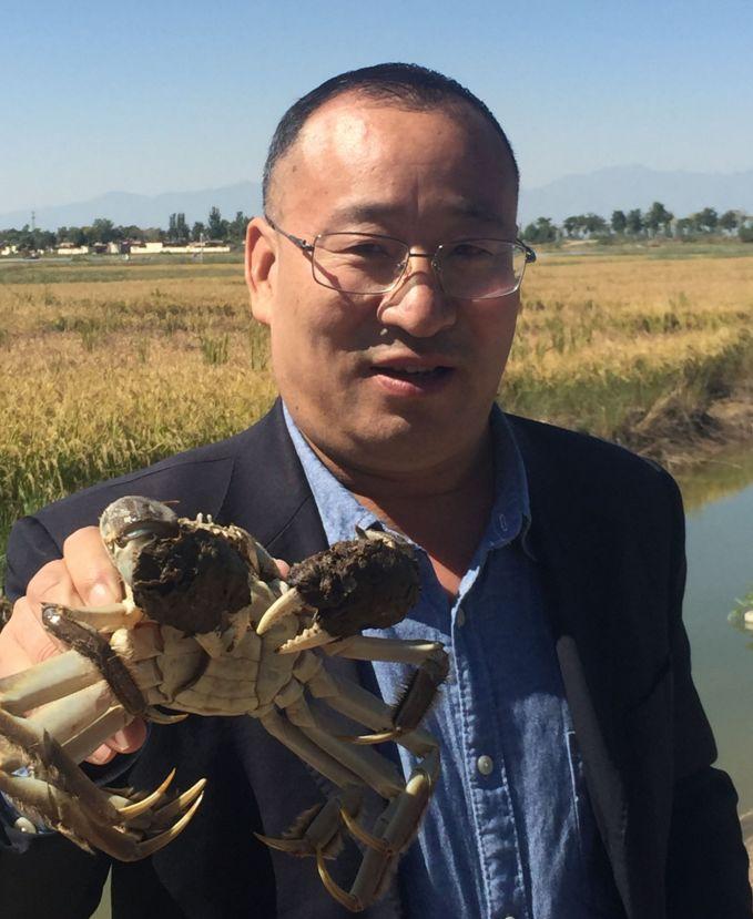 宁夏十大钓鱼好地方2026年本年度热度口碑双榜对比